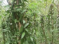 Kementerian Pertanian