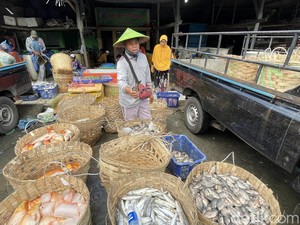 Harga Ikan Tawar di Lamongan Anjlok 50%, Petani-Pengepul Menjerit