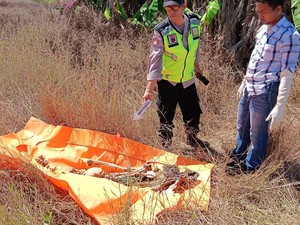Identitas Kerangka Manusia di Ladang Patebon Kendal Akhirnya Terungkap