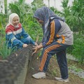 Pertamina Geothermal Energy Area Ulubelu, perusahaan energi terbarukan telah menyuplai listrik sebesar ±20% dari beban puncak listrik di Lampung