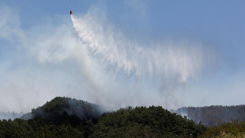 Jepang mengerahkan sekitar 1.400 petugas pemadam kebakaran dan 100 personel Pasukan Bela Diri (SDF) untuk menangani kebakaran hutan besar yang terus melanda wilayah pegunungan utara negara itu selama lima hari berturut-turut, Minggu (26/4/2026). (REU