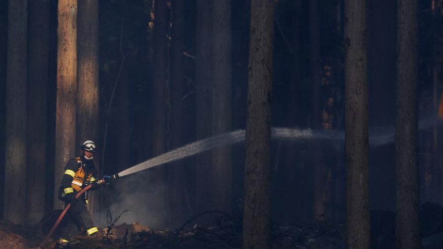 Jepang mengerahkan sekitar 1.400 petugas pemadam kebakaran dan 100 personel Pasukan Bela Diri (SDF) untuk menangani kebakaran hutan besar yang terus melanda wilayah pegunungan utara negara itu selama lima hari berturut-turut, Minggu (26/4/2026). (REU