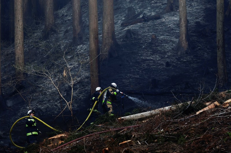 Jepang mengerahkan sekitar 1.400 petugas pemadam kebakaran dan 100 personel Pasukan Bela Diri (SDF) untuk menangani kebakaran hutan besar yang terus melanda wilayah pegunungan utara negara itu selama lima hari berturut-turut, Minggu (26/4/2026). (REUTERS/Kim Kyung-Hoon)