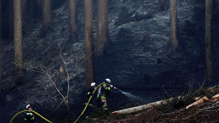 Jepang mengerahkan sekitar 1.400 petugas pemadam kebakaran dan 100 personel Pasukan Bela Diri (SDF) untuk menangani kebakaran hutan besar yang terus melanda wilayah pegunungan utara negara itu selama lima hari berturut-turut, Minggu (26/4/2026). (REU