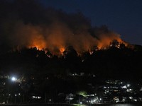 Jepang mengerahkan sekitar 1.400 petugas pemadam kebakaran dan 100 personel Pasukan Bela Diri (SDF) untuk menangani kebakaran hutan besar yang terus melanda wilayah pegunungan utara negara itu selama lima hari berturut-turut, Minggu (26/4/2026). (via