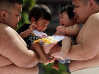 Pegulat sumo amatir menggendong bayi selama 'Nakizumo' atau kontes sumo bayi menangis di kuil Sensoji di Tokyo, Jepang, Sabtu (25/4/2026). (REUTERS/Issei Kato)
