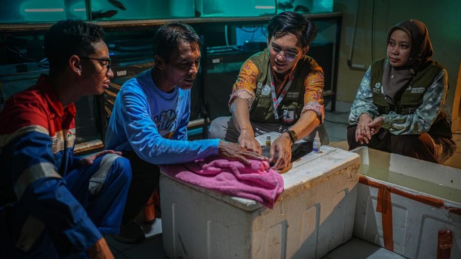 Pertamina Patra Niaga Refinery Unit III Plaju (RU III Plaju)