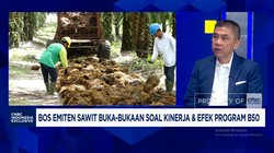 Bos Sawit Buka-bukaan Soal Kinerja & Efek Program B50