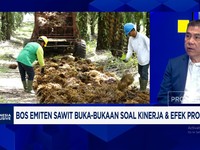 Bos Sawit Buka-bukaan Soal Kinerja & Efek Program B50