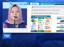 Darurat Keamanan Pangan, Ini Jurus Kemenko Pangan Atasi Kasus Keracunan Makanan
