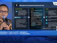 Ekonomi Biru, Strategi KKP Perkuat Ketahanan Pangan, Sukseskan MBG & Kampung Nelayan