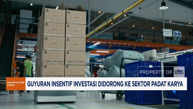 Video: Guyuran Insentif Investasi Didorong ke Sektor Padat Karya