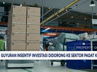 Guyuran Insentif Investasi Didorong ke Sektor Padat Karya