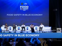 Jurus KKP Bantu Petambak Rakyat Genjot Produksi Ikan Budidaya