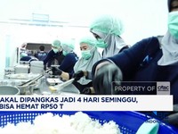 MBG Bakal Dipangkas Jadi 4 Hari, APBN Bisa Hemat Rp 50 T