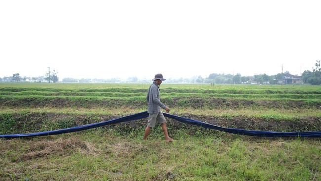 Pertagas OKA Bawa Sederet Inovasi untuk Kesejahteraan Petani dan UMKM