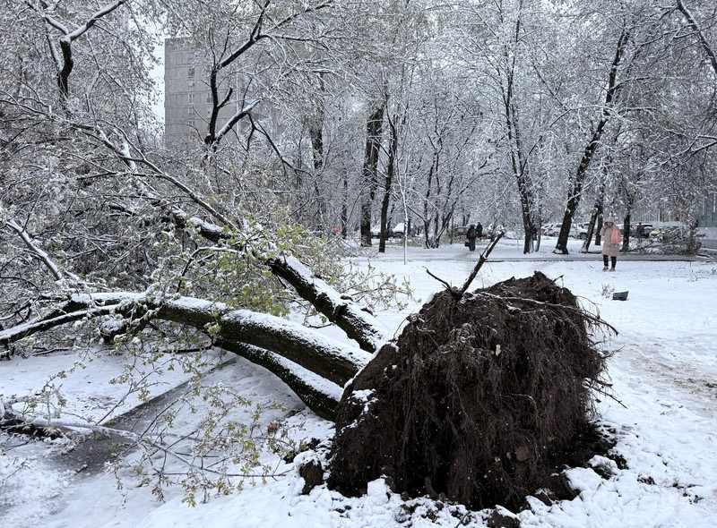 Salju turun di Moskow, Rusia, Senin (27/4/2026). (REUTERS/Ramil Sitdikov)