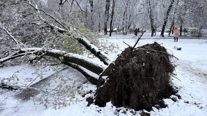 Salju turun di Moskow, Rusia, Senin (27/4/2026). (REUTERS/Alexander Reshetnikov)