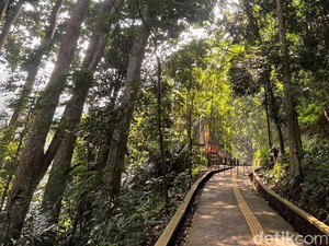 Jeda Sejenak dari Penat Kehidupan di Tahura Djuanda Bandung