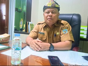 Ada Ekskavator Masuk Hutan Lindung, Pemprov Kaltara Beri Imbauan
