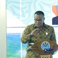 Menteri Lingkungan Hidup/Kepala Badan Pengendalian Lingkungan Hidup (BPLH) Jumhur Hidayat. (CNBC Indonesia/Muhammad Sabki)