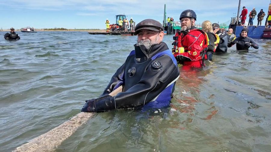paus bungkuk yang terdampar masuk ke dalam tongkang selama upaya penyelamatan yang diorganisir oleh inisiatif swasta di perairan dangkal Laut Baltik di lepas pantai pulau Poel, dekat Wismar, Jerman, Selasa (28/4/2026). (NonstopNews/Schwarck via REUTERS)
