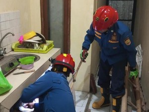 Bukan Ular, Damkar Ciamis Diminta Evakuasi Katak di Rumah Warga
