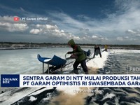 Sentra Garam di NTT Mulai Produksi Tahun Ini