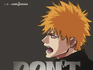 Mangaka Bleach Sumbangkan Rp 1,1 Miliar Bantu Korban Gempa Bumi Kumamoto