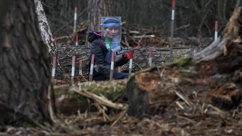 HALO Trust (Hazardous Area Life-support Organization), sebuah organisasi non-pemerintah kemanusiaan yang terutama bekerja untuk membersihkan ranjau darat dan alat peledak lainnya di desa Myrotske, wilayah Kyiv, Ukraina. (REUTERS/Gleb Garanich)