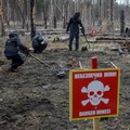 HALO Trust (Hazardous Area Life-support Organization), sebuah organisasi non-pemerintah kemanusiaan yang terutama bekerja untuk membersihkan ranjau darat dan alat peledak lainnya di desa Myrotske, wilayah Kyiv, Ukraina. (REUTERS/Gleb Garanich)