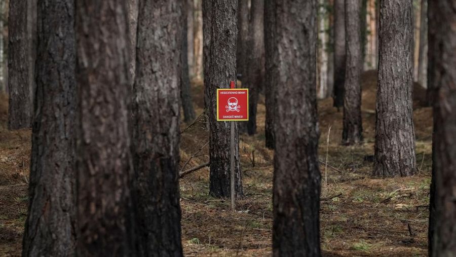 HALO Trust (Hazardous Area Life-support Organization), sebuah organisasi non-pemerintah kemanusiaan yang terutama bekerja untuk membersihkan ranjau darat dan alat peledak lainnya di desa Myrotske, wilayah Kyiv, Ukraina. (REUTERS/Gleb Garanich)