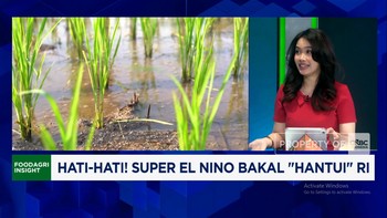 Kemarau Panjang Ekstrem Ancam Produksi Pangan, Pemerintah Harus Apa?