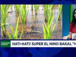 Kemarau Panjang Ekstrem Ancam Produksi Pangan, Pemerintah Harus Apa?