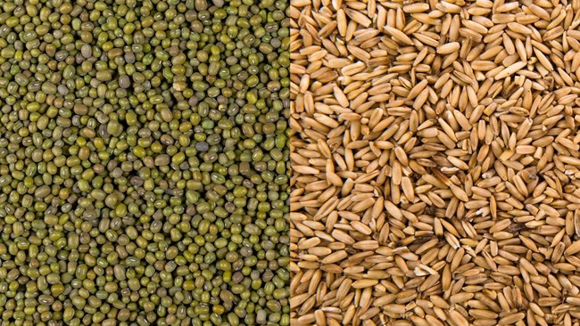 Muncul Aturan Baru: Impor Gandum-Kacang Wajib Izin Ketat, Mulai Kapan?
