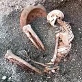Para arkeolog di Pompeii, Italia, untuk pertama kalinya menggunakan kecerdasan buatan untuk merekonstruksi penampilan salah satu korban letusan gunung berapi yang menghancurkan kota Romawi kuno hampir 2.000 tahun yang lalu. (Tangkapan Layar Video/REU