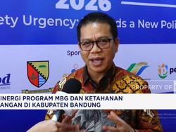 Sinergi Program MBG dan Ketahanan Pangan di Kabupaten Bandung