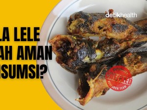 Infografis: Kepala Lele Sering Dipotong-Dibuang, Amankah Dikonsumsi?