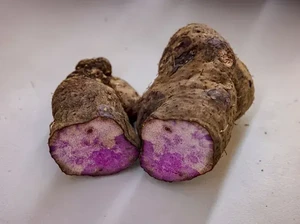 Lagi Hits! Konsumsi Ube Ternyata Punya 5 Manfaat Sehat buat Tubuh