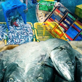 Ekspor Ikan RI Tembus Rp100 Triliun, Udang-Kepiting Jadi Buruan Dunia