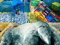 Ekspor Ikan RI Tembus Rp100 Triliun, Udang-Kepiting Jadi Buruan Dunia