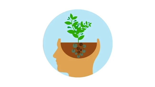Growth Mindset: Pola Pikir Berkembang Bikin Tabungan Tumbuh Konsisten