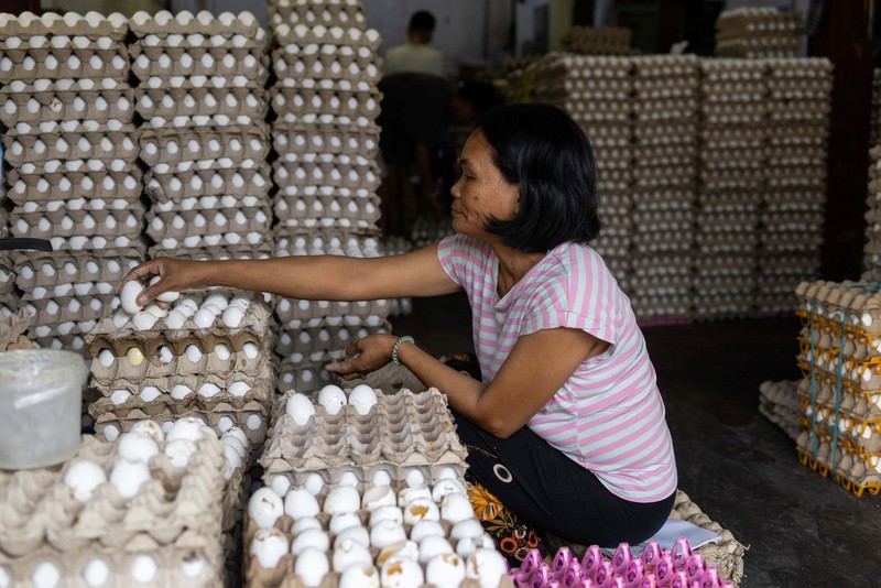 Para pekerja menyortir peti-peti telur segar di pasar umum di Manila, Filipina, 4 Mei 2026. (REUTERS/Eloisa Lopez)