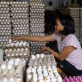 Para pekerja menyortir peti-peti telur segar di pasar umum di Manila, Filipina, 4 Mei 2026. (REUTERS/Eloisa Lopez)