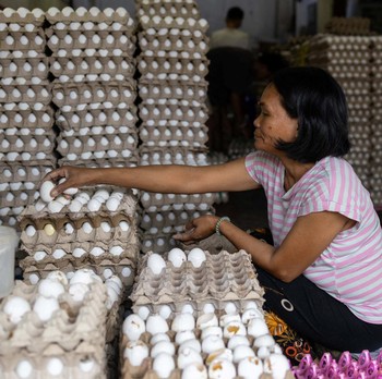 Para pekerja menyortir peti-peti telur segar di pasar umum di Manila, Filipina, 4 Mei 2026. (REUTERS/Eloisa Lopez)