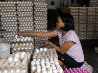 Para pekerja menyortir peti-peti telur segar di pasar umum di Manila, Filipina, 4 Mei 2026. (REUTERS/Eloisa Lopez)