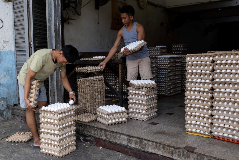 Para pekerja menyortir peti-peti telur segar di pasar umum di Manila, Filipina, 4 Mei 2026. (REUTERS/Eloisa Lopez)