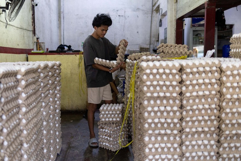 Para pekerja menyortir peti-peti telur segar di pasar umum di Manila, Filipina, 4 Mei 2026. (REUTERS/Eloisa Lopez)