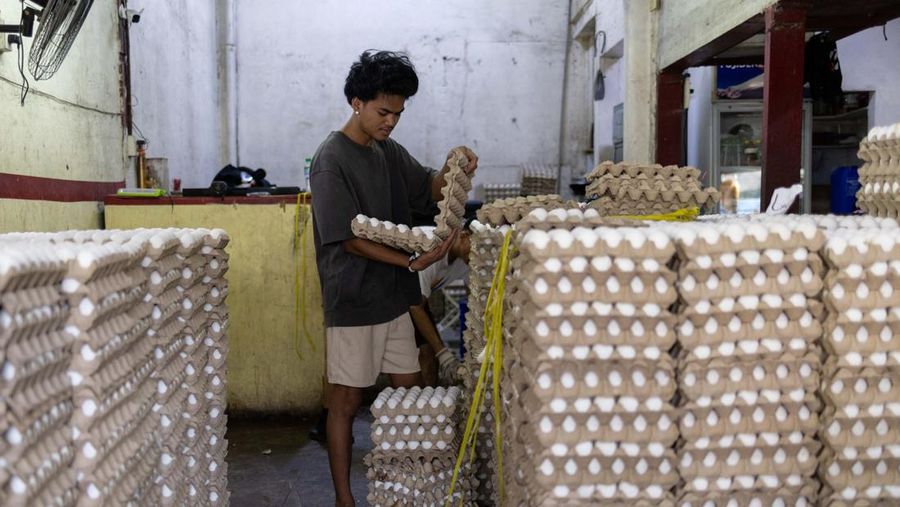 Para pekerja menyortir peti-peti telur segar di pasar umum di Manila, Filipina, 4 Mei 2026.