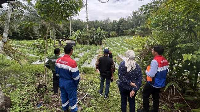 Komitmen Jaga Lingkungan, PGN Pagardewa Andalkan Program Ini!